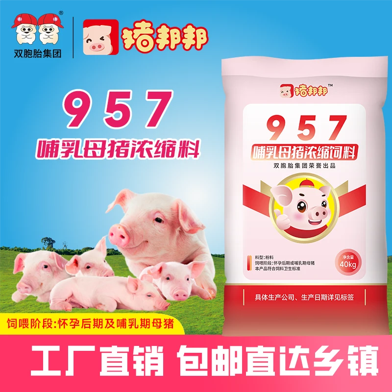 猪邦邦猪邦邦/957哺乳母猪浓缩料40kg 1包