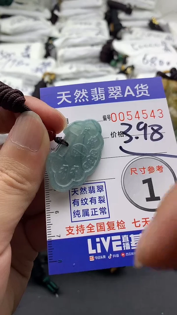【闪购商品】翡翠颈饰未镶嵌55555555555