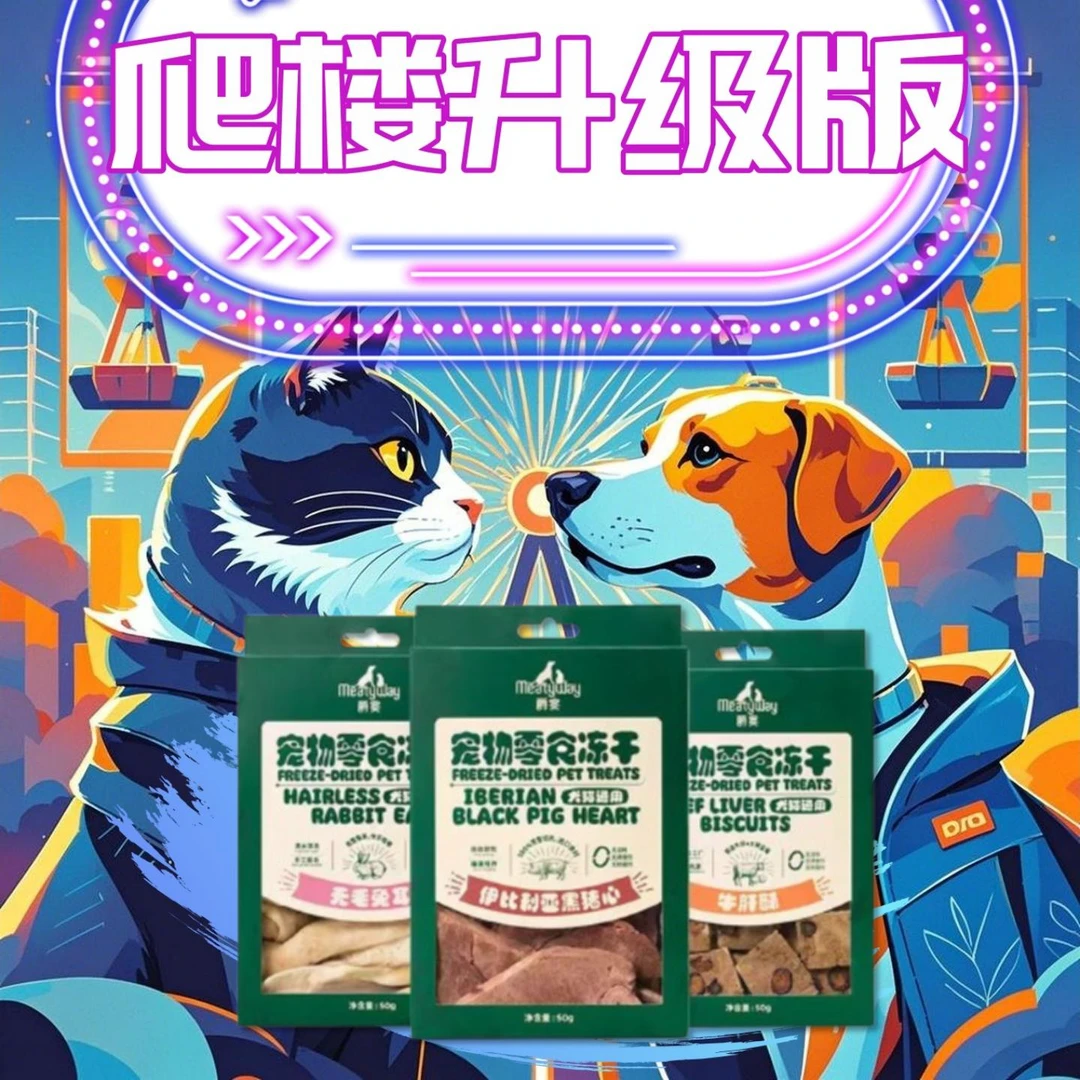 宠物爬楼升级中级版