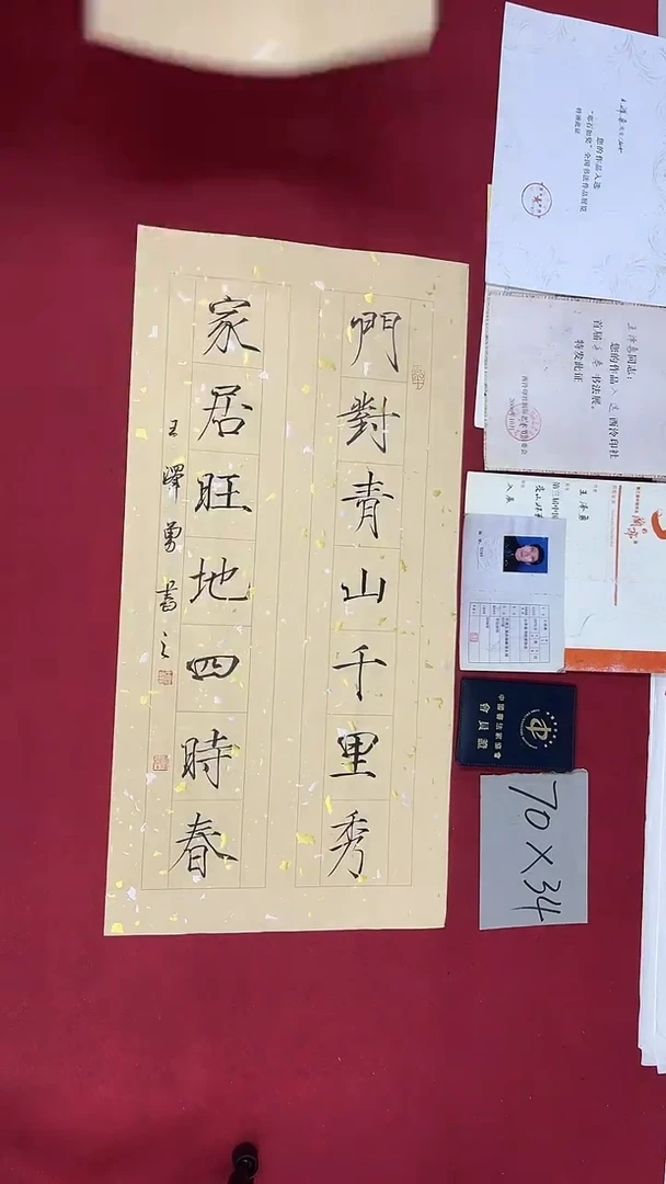 书法王泽勇老师书法作品045