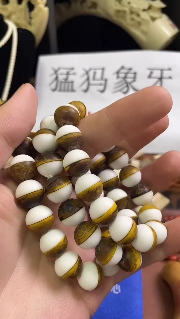 猛犸龙某香14m圆珠单圈