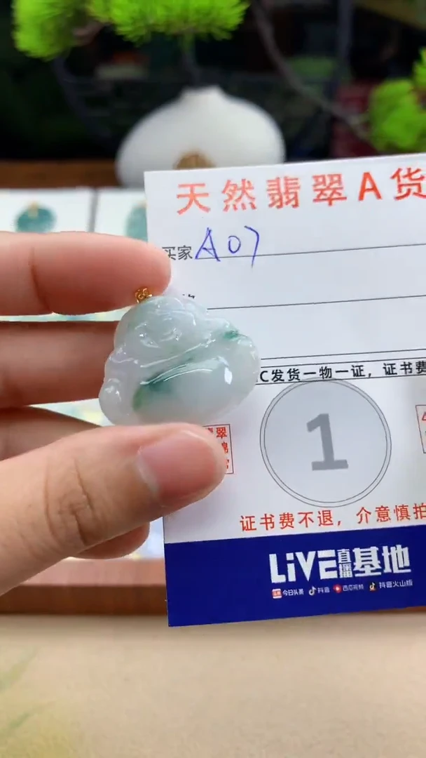 颈饰未镶嵌翡翠天然A货翡翠挂件