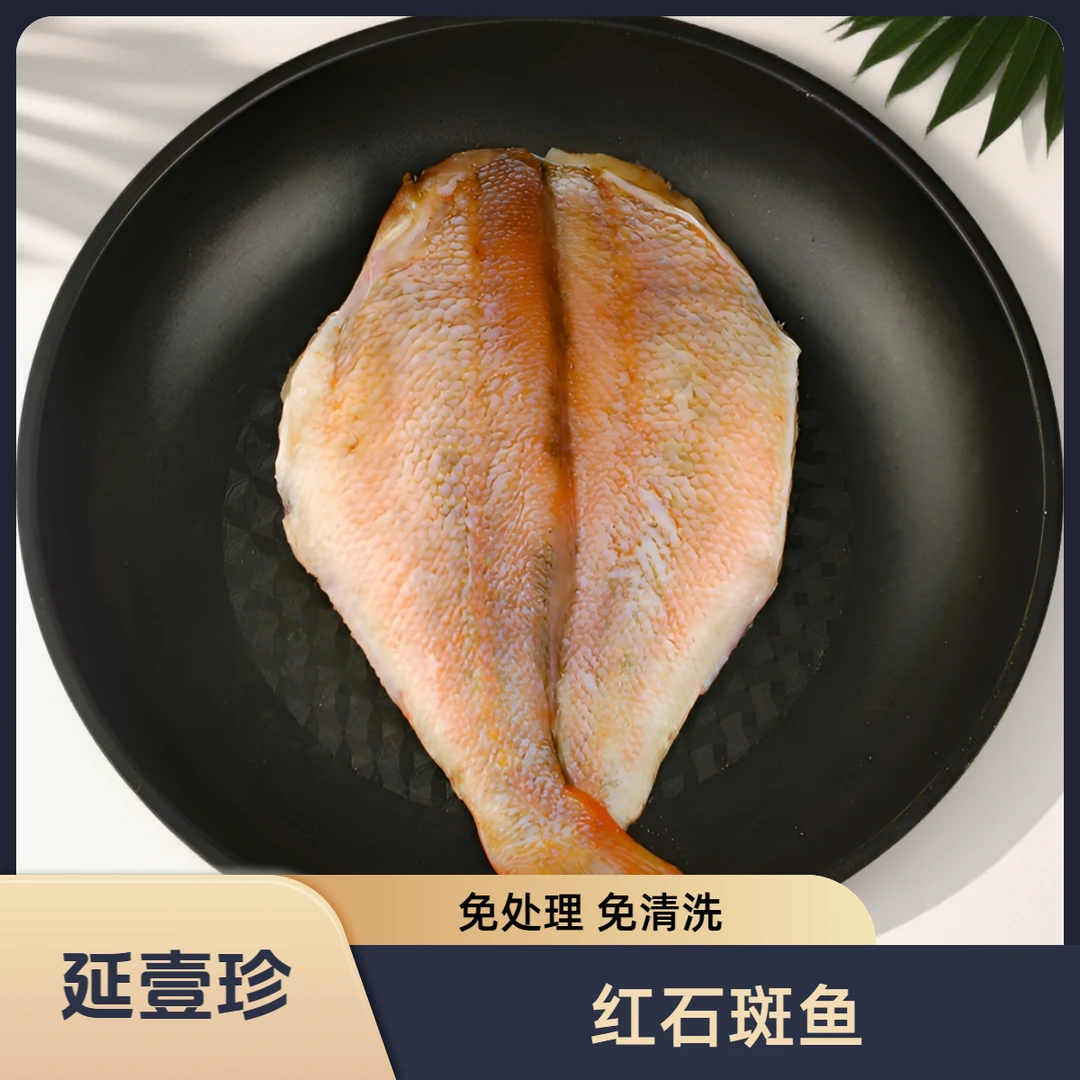 【红石斑鱼】深海鱼腌制装红石斑鱼质量好一等品冷冻海鲜水产延壹珍