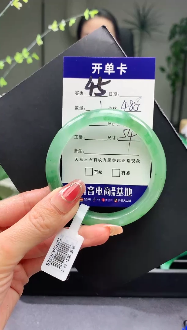 【闪购商品】石英质玉手镯未镶嵌序号45圈口54