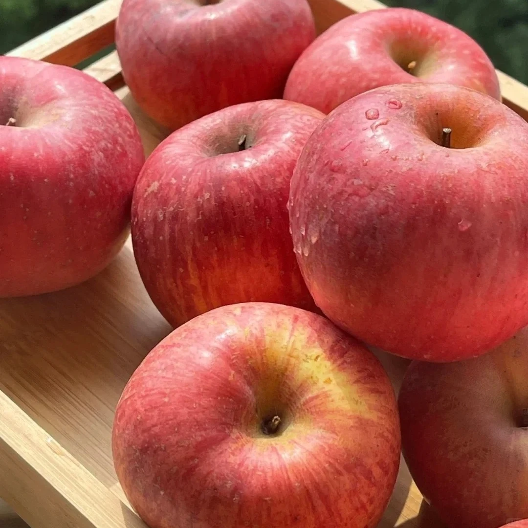 富士苹果产地直采 超甜2斤左右红富士苹果新疆维吾尔自治区