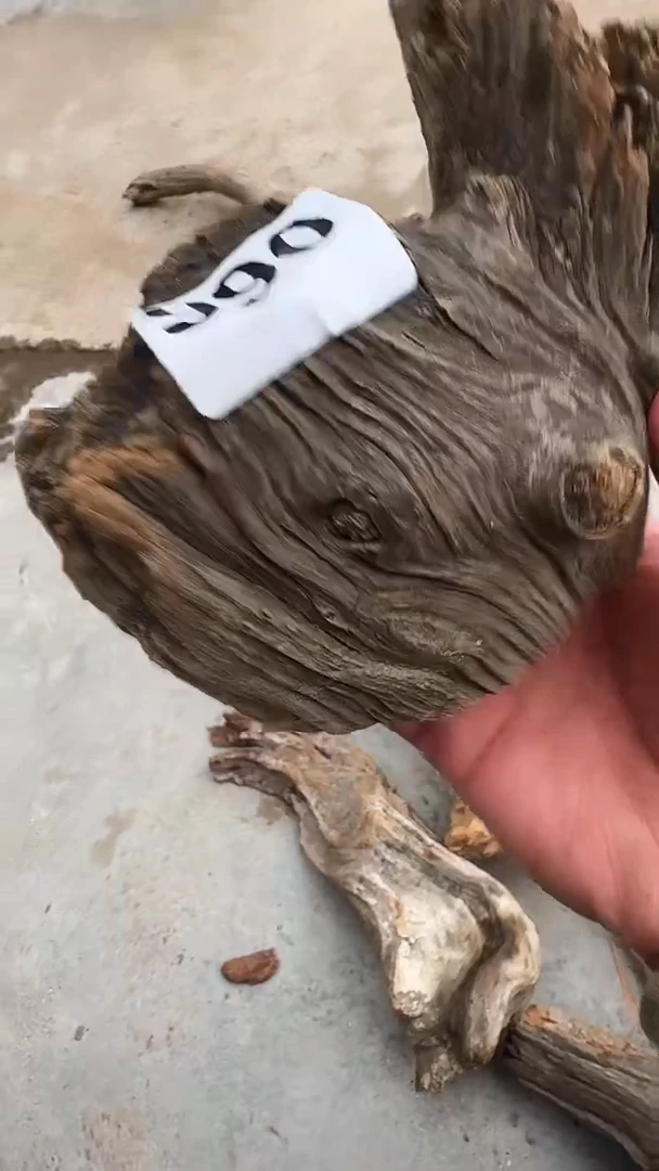 柏木（崖柏）太行陈化崖柏切片！随机一片！（1单1片）990