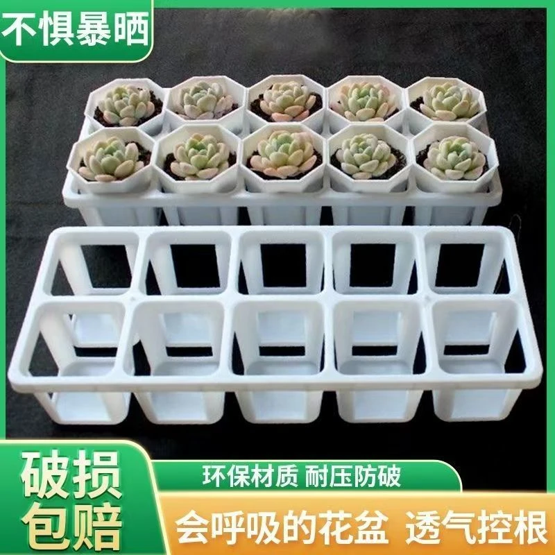 加厚八角新款多肉组合托盘白色10孔托架7方花盆加高阳台拼盘一体