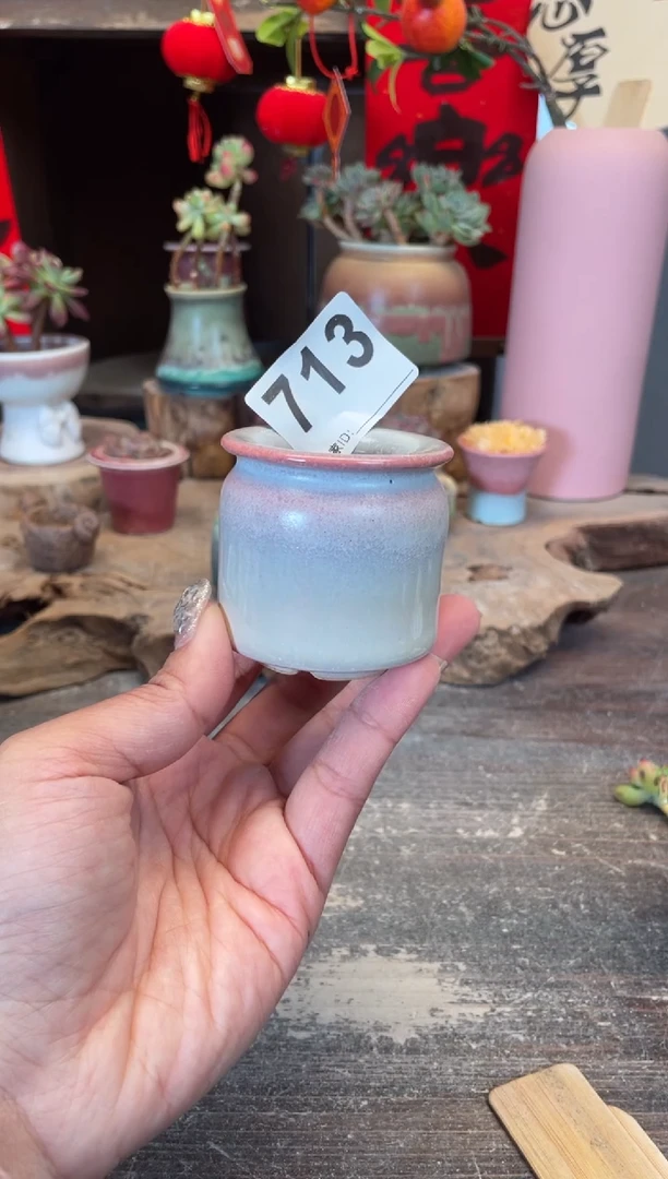 【闪购商品】摆件713知木小芳花盆