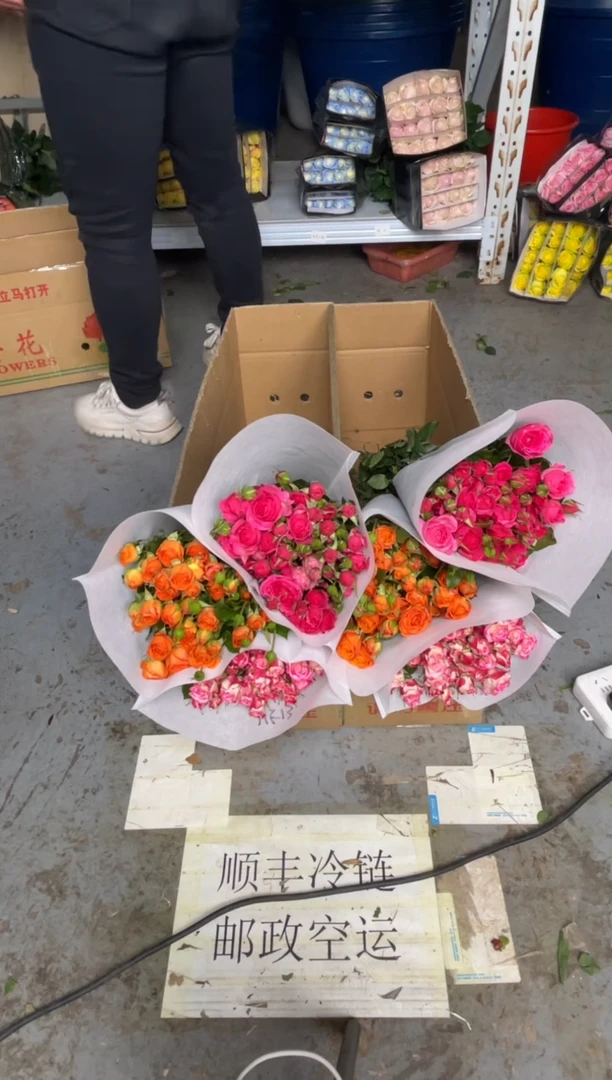 折射10枝+橙色芭比10枝+苏菲10枝