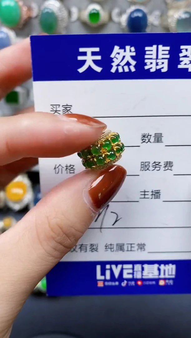 翡翠银S925镶嵌颈饰212