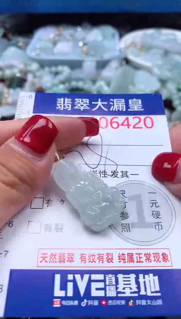颈饰未镶嵌翡翠6420