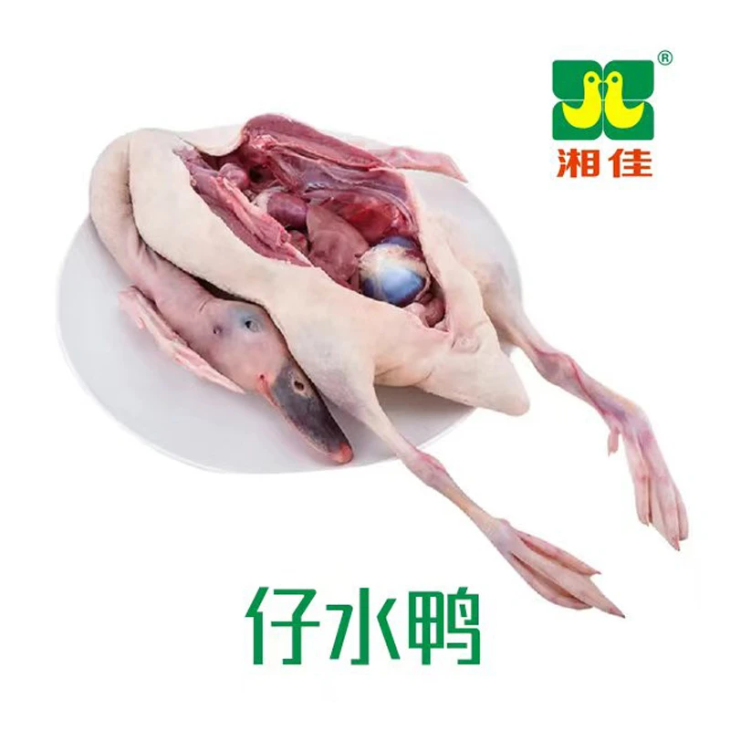 湘佳仔水鸭1.25kg/半只鸭肉同城配