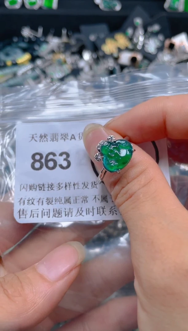翡翠未镶嵌吊坠(不含链)863