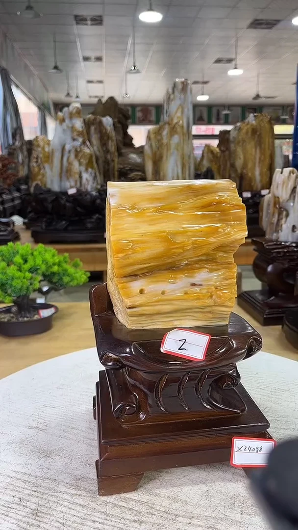 未镶嵌珠宝奇石硅化玉399