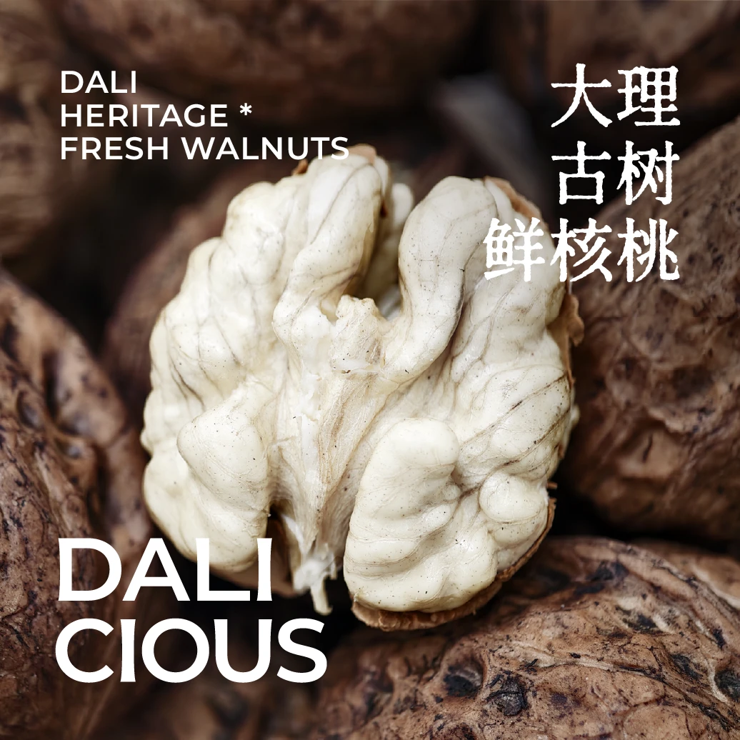 顺丰包邮 稀有100年古树鲜核桃漾濞去青皮湿核桃孕妇脆仁油香浓郁