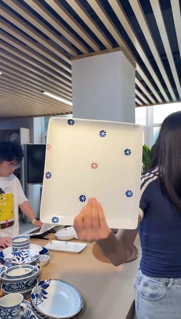 瓷片537815378153781v