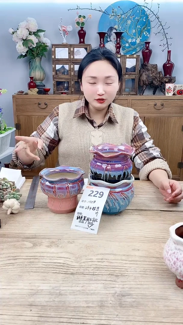 【闪购商品】红陶229