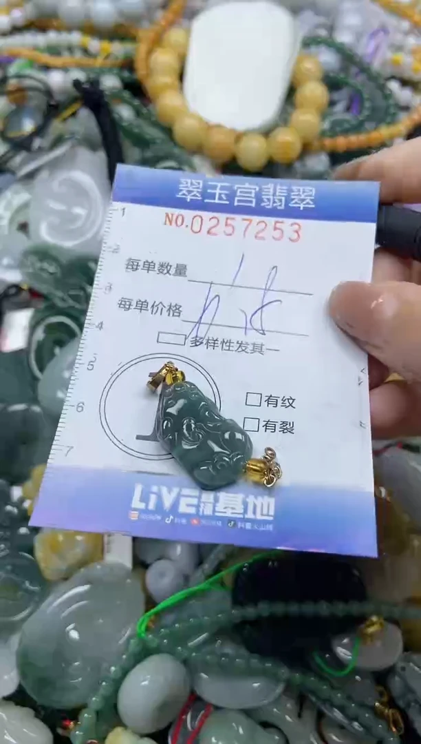 颈饰未镶嵌翡翠闪购C0257253