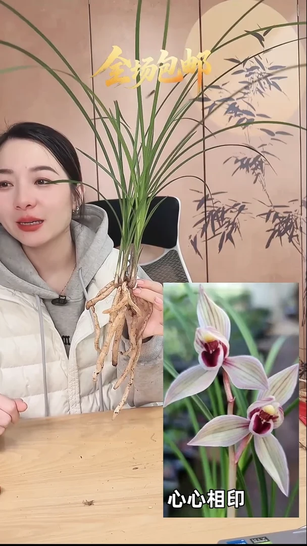 当前无花栽培后可以开花：心心相印