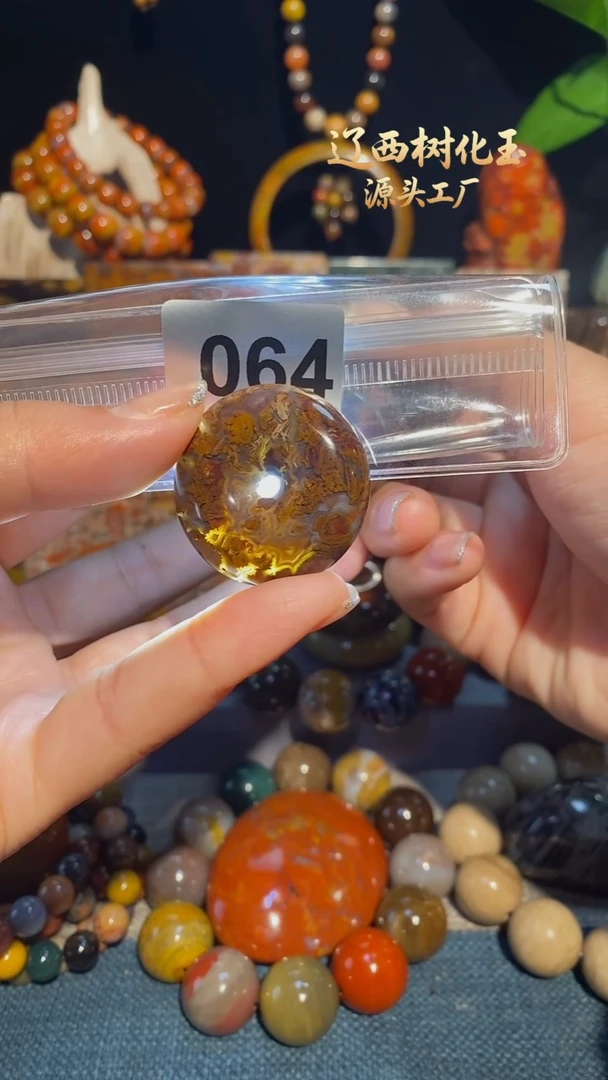 未镶嵌-硅化玉天然北票硅化玉吊坠