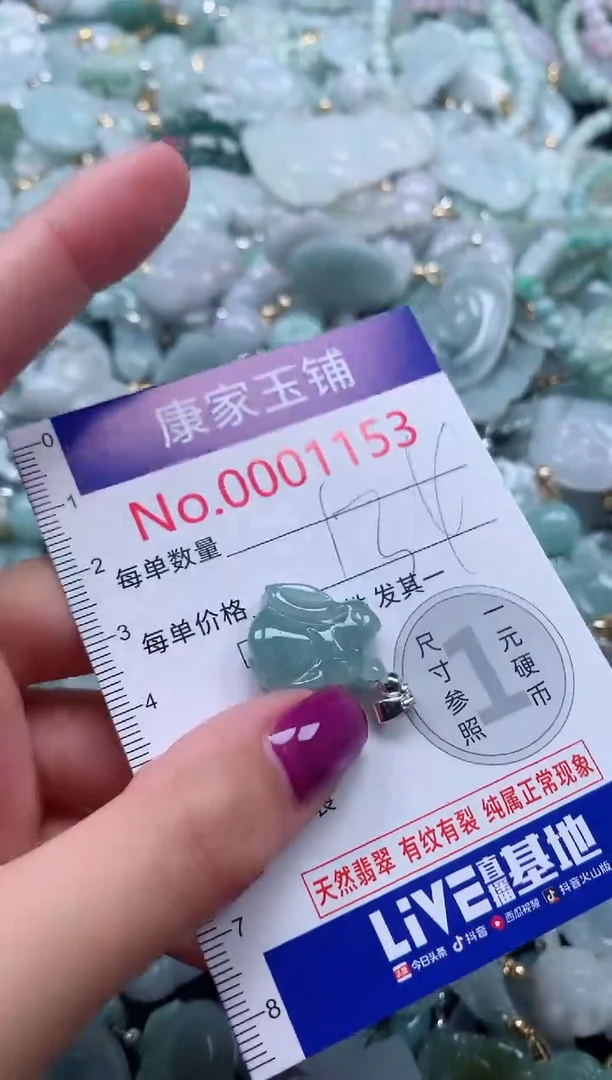 颈饰未镶嵌翡翠1153
