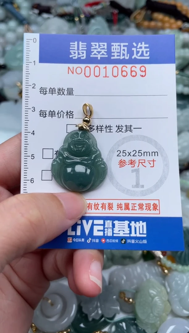 颈饰未镶嵌翡翠10669