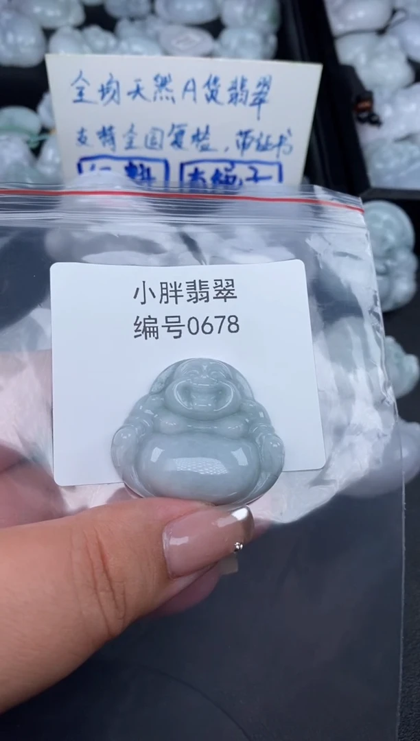 翡翠未镶嵌颈饰缅甸天然A货翡翠0678