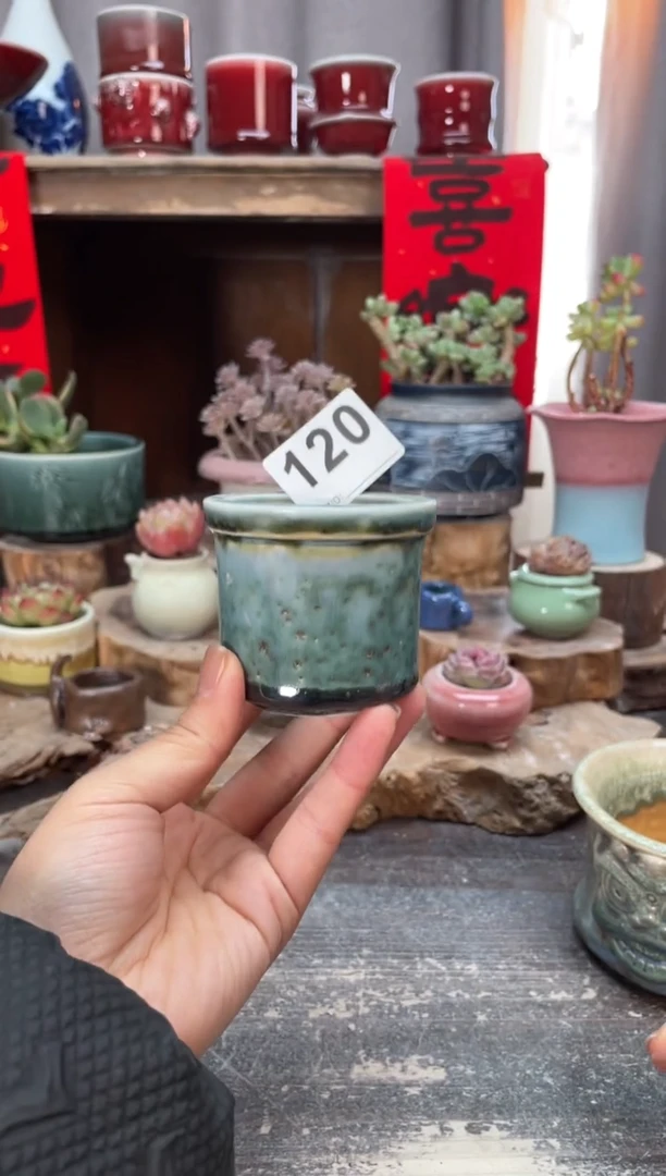 【闪购商品】摆件120木小芳花盆知