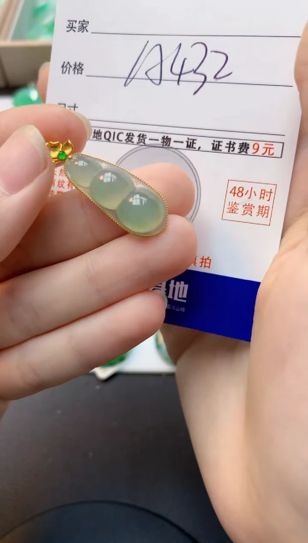 颈饰18K金镶嵌翡翠天然缅甸A货翡翠百元以上9元证书费自理