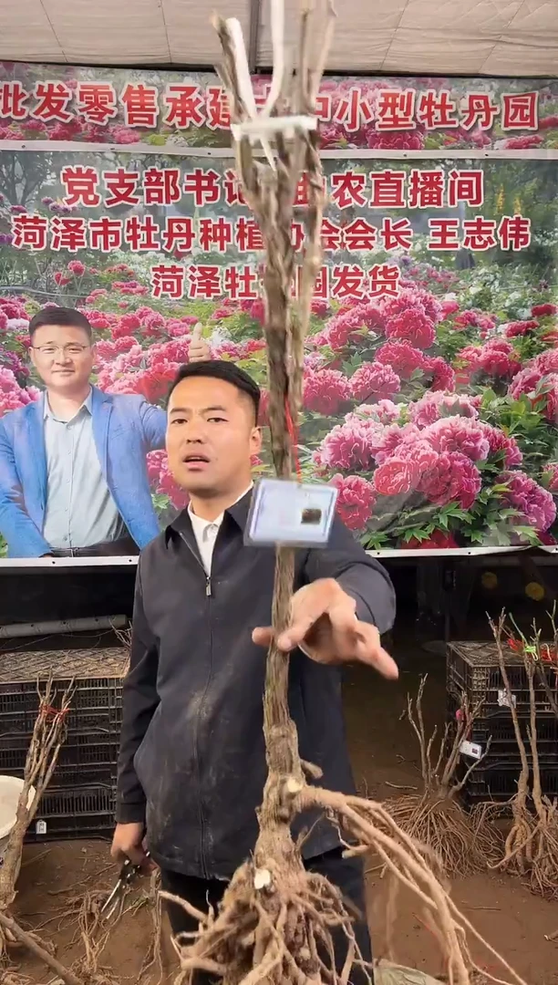 闪购链接  黑夫人30