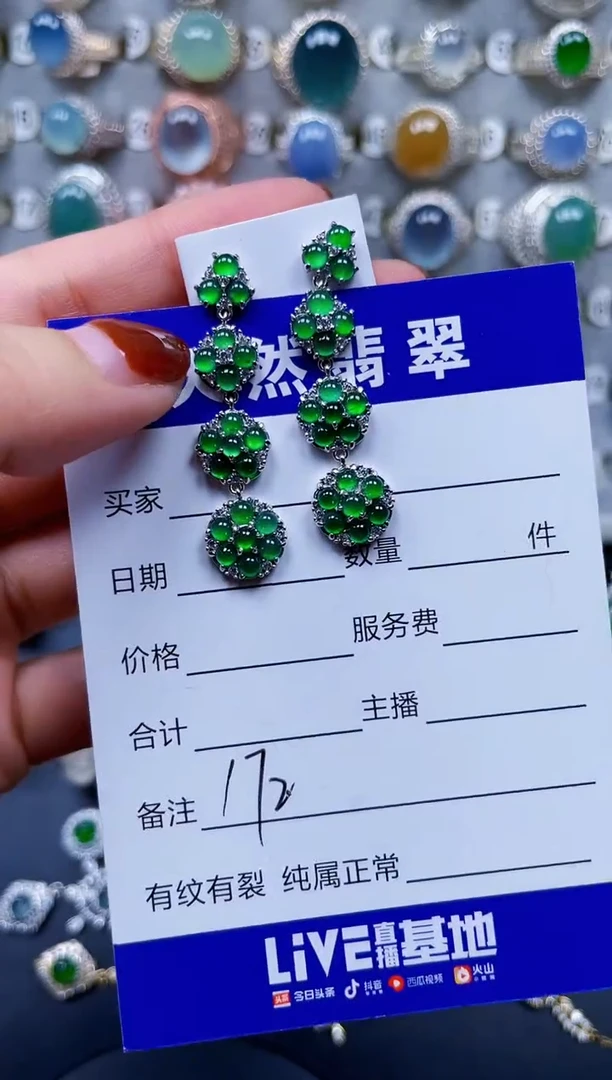 翡翠银S925镶嵌耳饰172