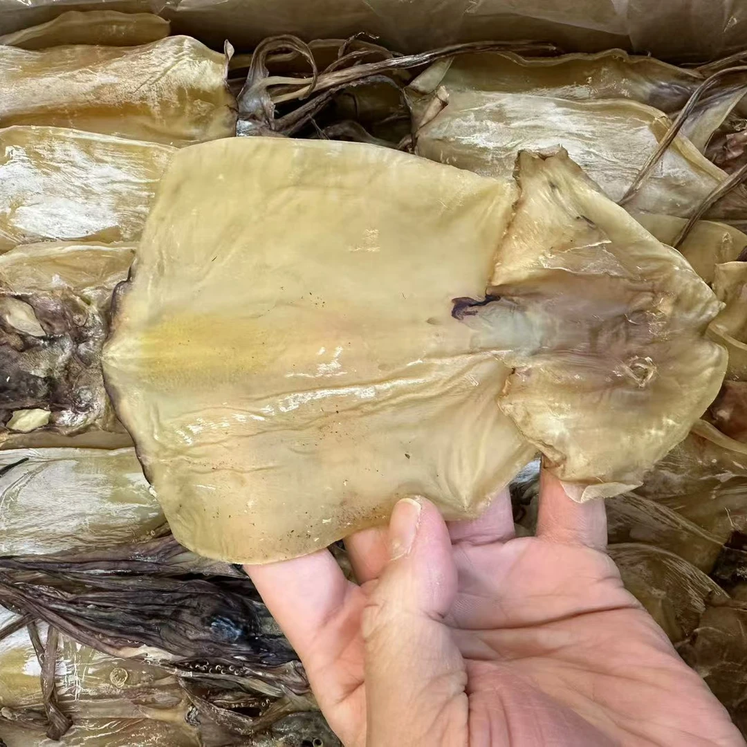 （珍妮专属）当季新鲜淡干鱿鱼干炖汤新鲜美味