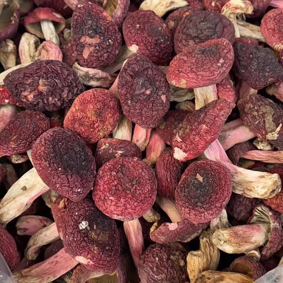 云南山货土特产红～菇150g/250g/500g