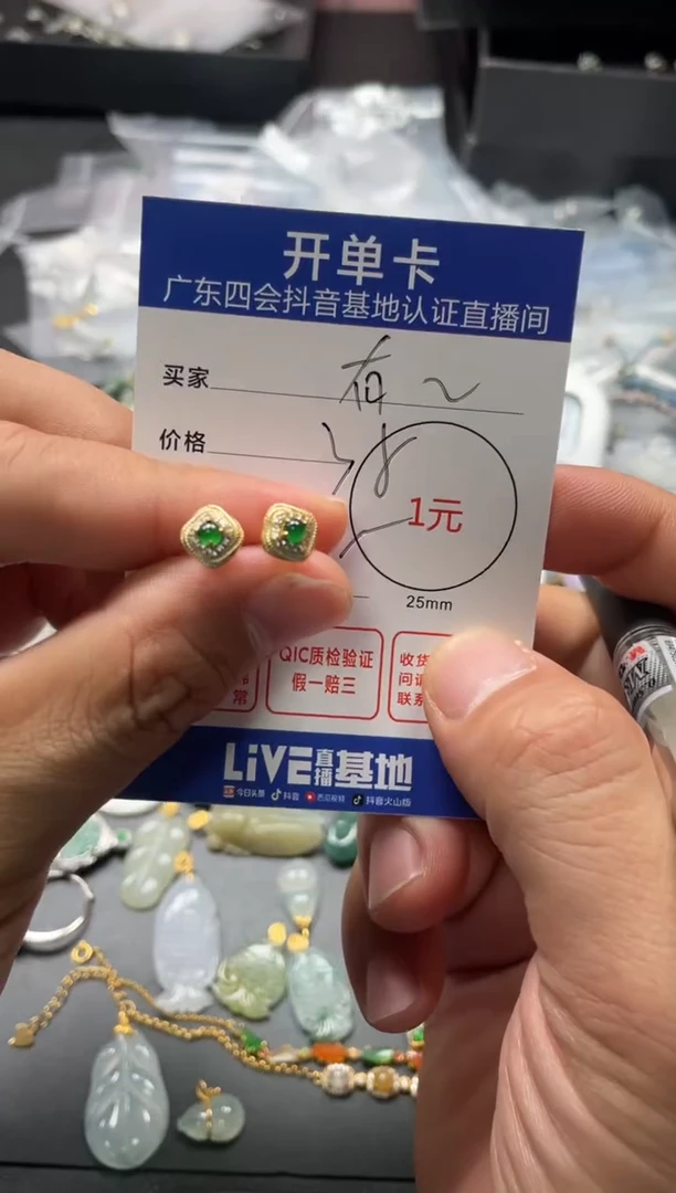 颈饰未镶嵌翡翠N耳钉