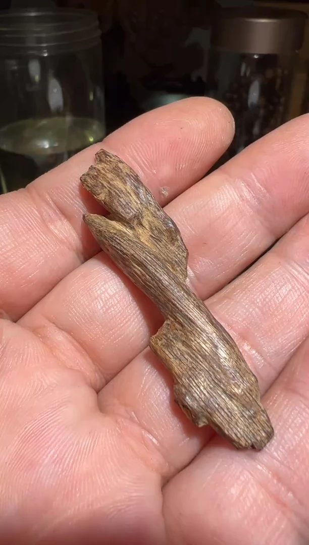 沉香碎屑沉香文莱1.4克