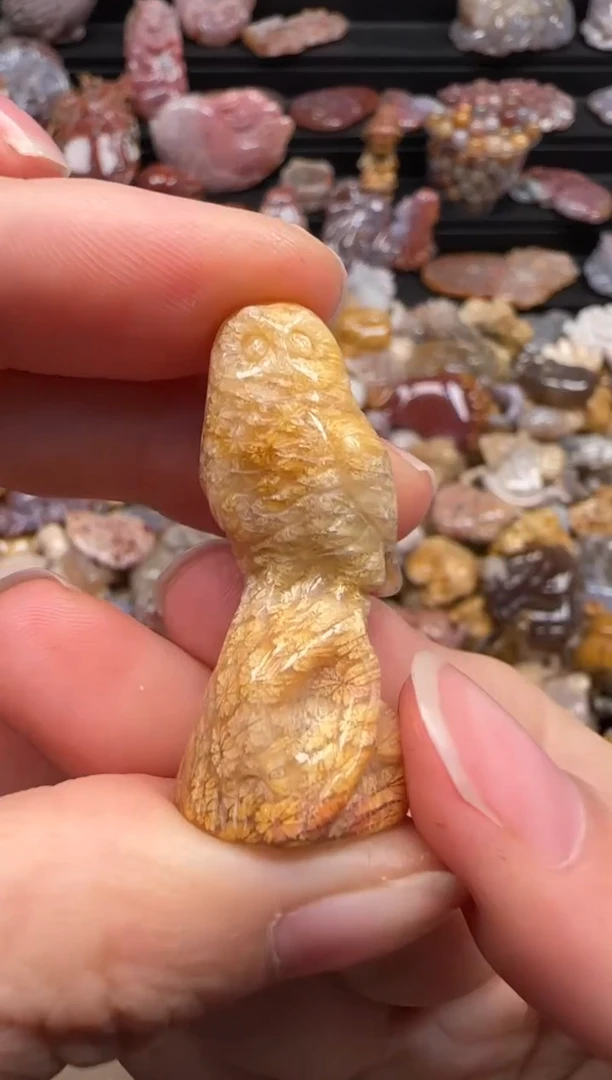 【闪购商品】硅化珊瑚（珊瑚玉）颈饰未镶嵌073