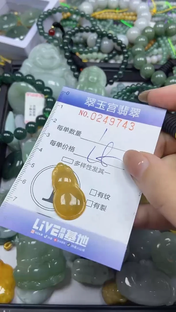 颈饰未镶嵌翡翠闪购C0249743