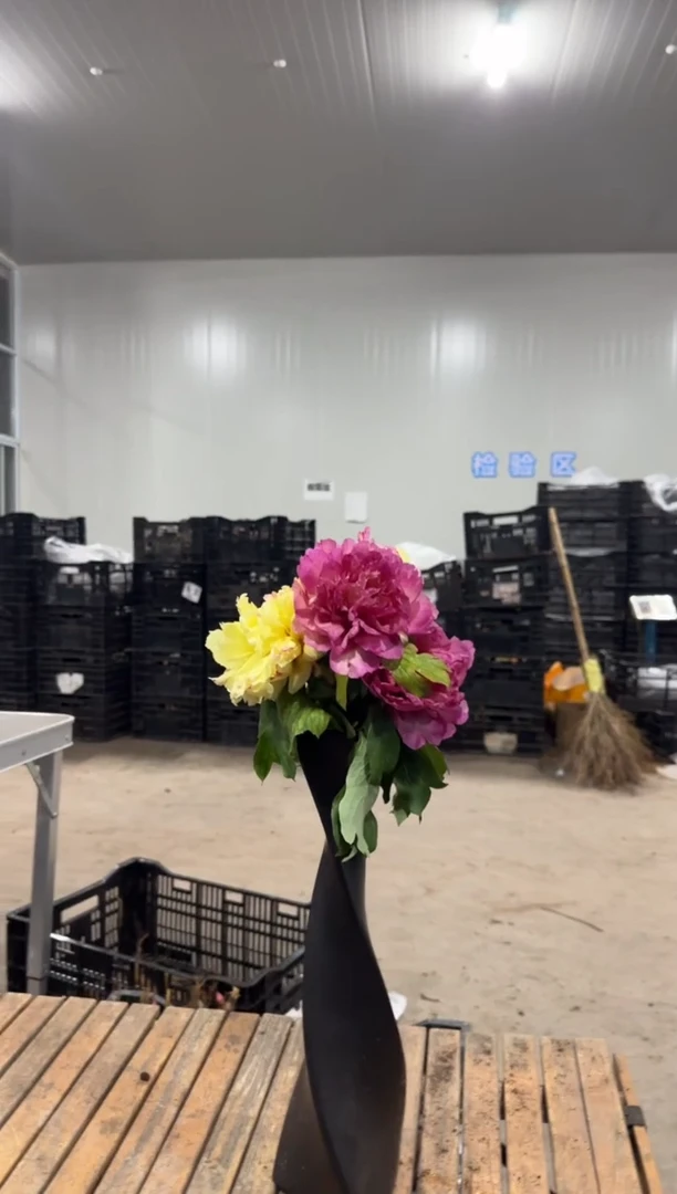 英**旅9.9  英雄之旅  盲盒