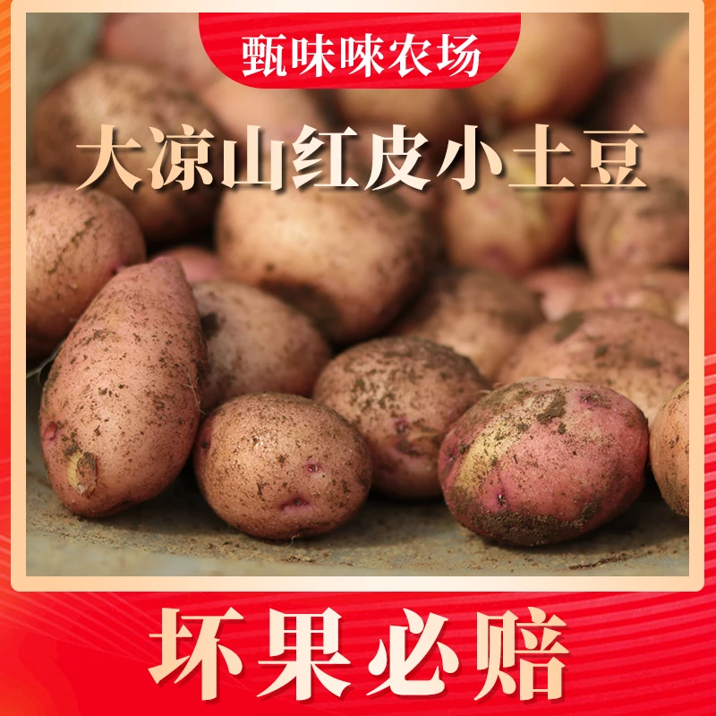 【甄味唻农场】大凉山红/黄皮小土豆5斤单果100-140g/200g+ 11-24个