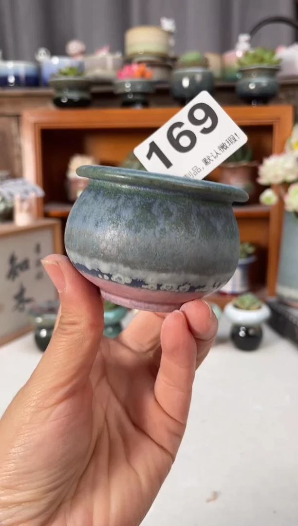 瓷片169知木小芳花盆