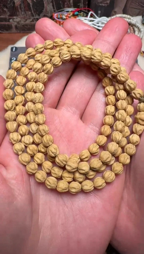 【闪购商品】柏香籽/百香籽手串百香籽手串