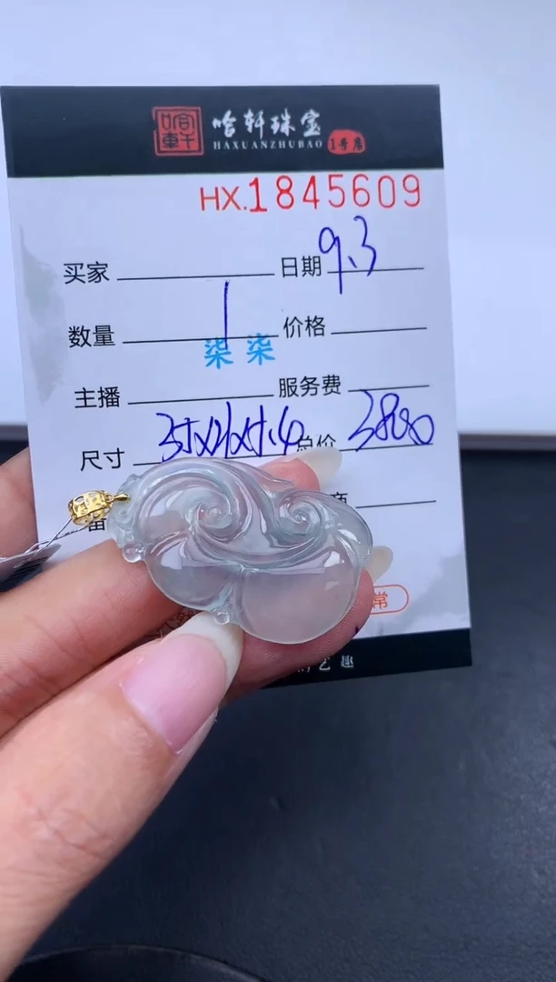 未镶嵌挂件翡翠?****️哈轩 挂件1
