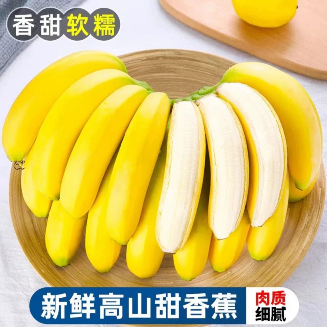 【青皮发货】高山新鲜香蕉当季水果banana现摘威廉斯香甜芭蕉甜蕉