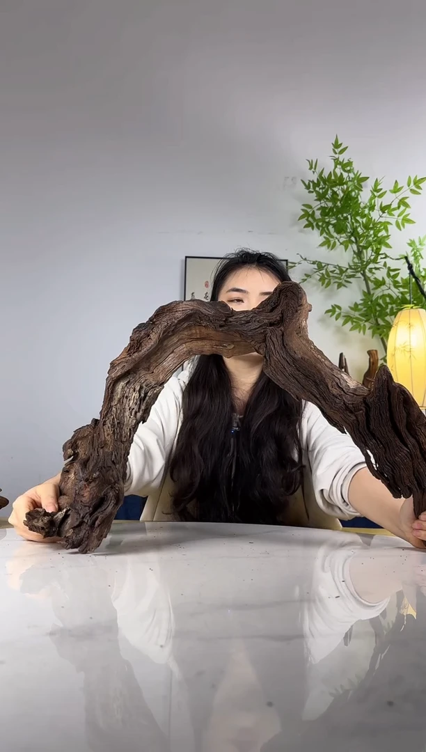 三***.拍沉木定向链接编号101