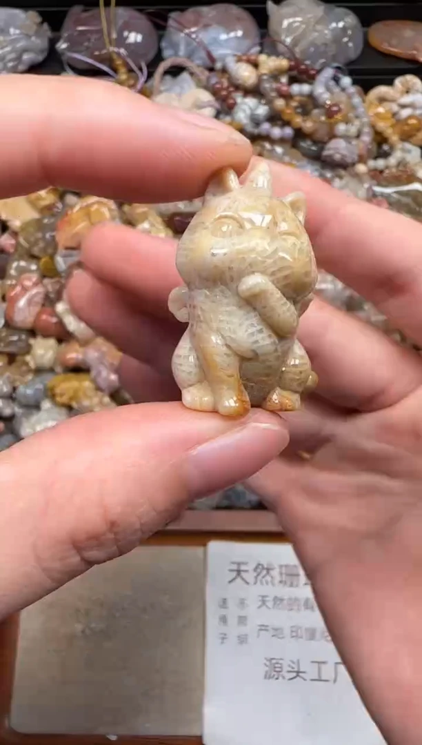 硅化珊瑚（珊瑚玉）未镶嵌颈饰300