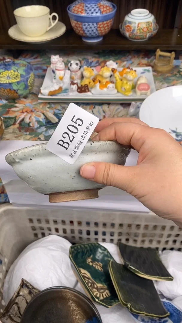 瓷片雪B205 瓷片  一物一拍