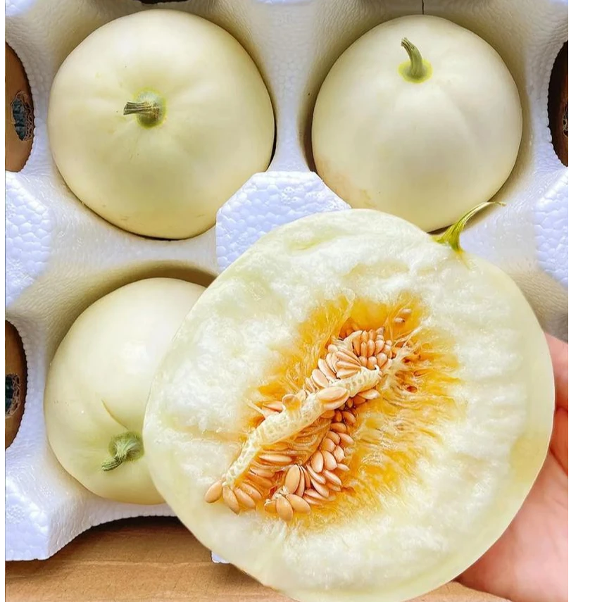 陕西阎良甜瓜白皮香瓜软糯香甜当季新鲜水果
