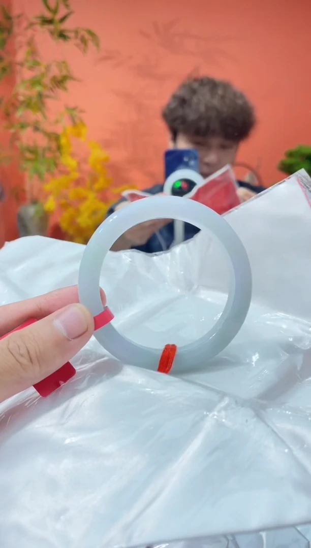 未镶嵌手镯翡翠14