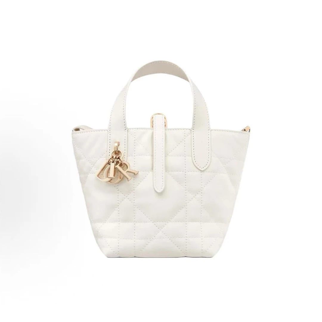 99新 DIOR/迪奥 土著白金小牛皮托特手提斜挎包 98新