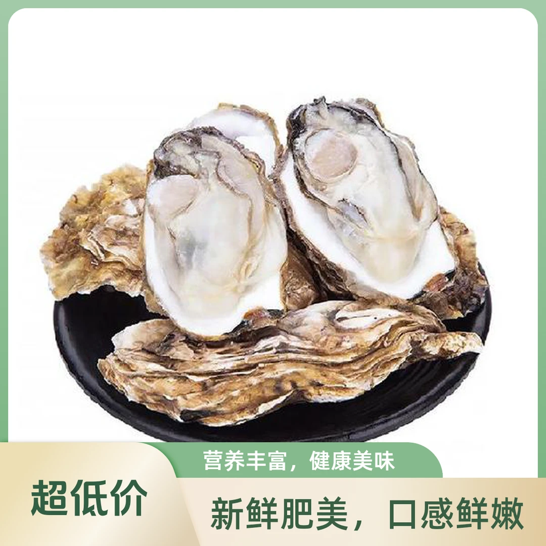 6+300克鲜活乳山生蚝（默认不开，处理请备注）